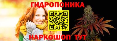 стаф Коммунар